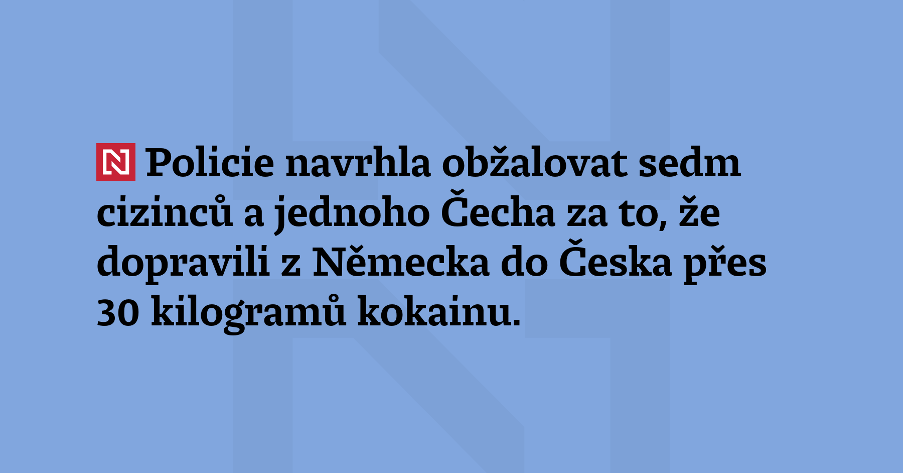 Policie navrhla obžalovat sedm cizinců a Čecha za to, že dopravili...