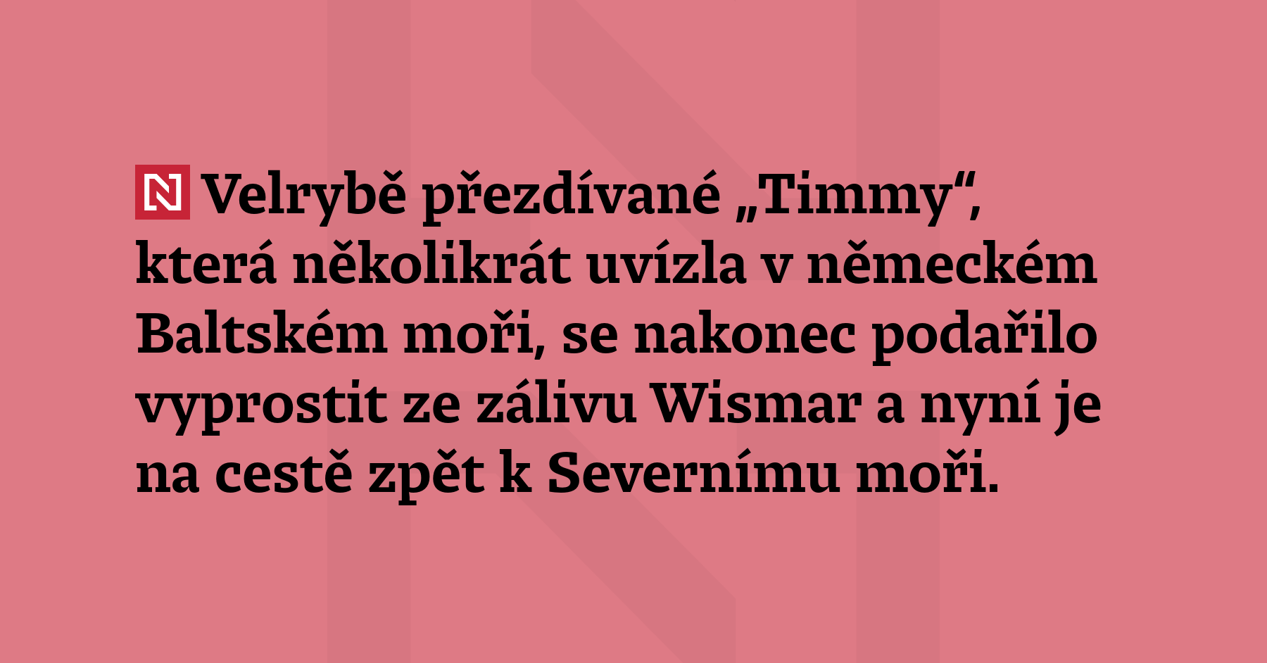Velrybě přezdívané „Timmy“, která několikrát uvízla v německém Baltském moři, se...