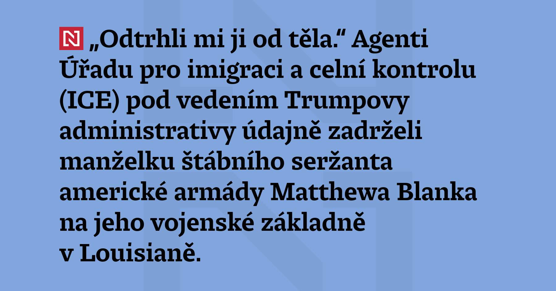 „Odtrhli mi ji od těla.“ Agenti Úřadu pro imigraci a celní...