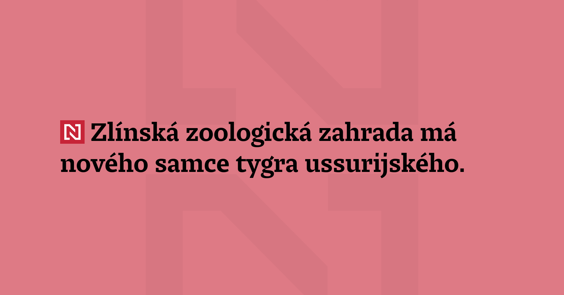 Zlínská zoologická zahrada má nového samce tygra ussurijského. Dvouletý samec...