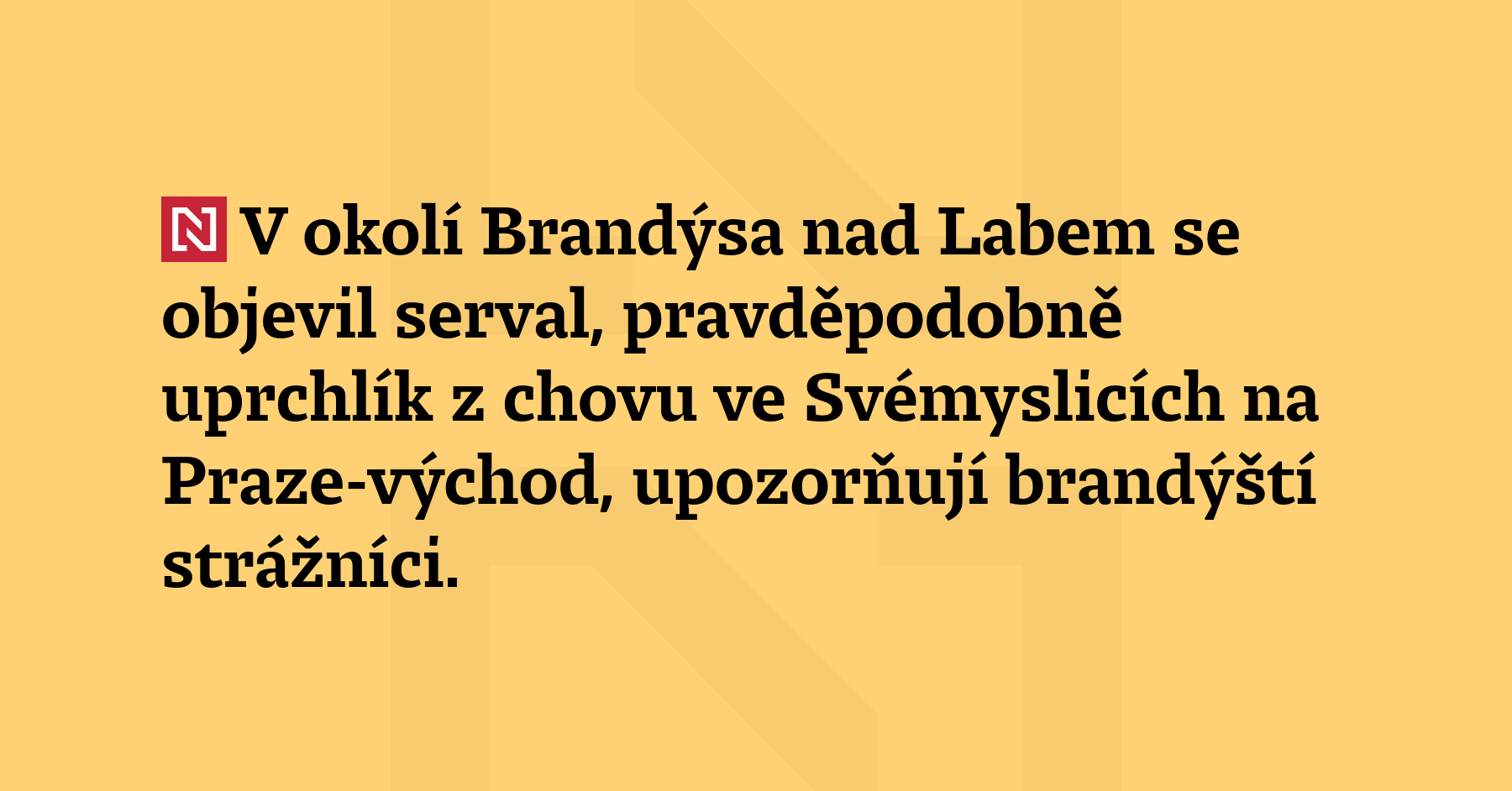 V okolí Brandýsa nad Labem se objevil serval, pravděpodobně uprchlík z chovu...