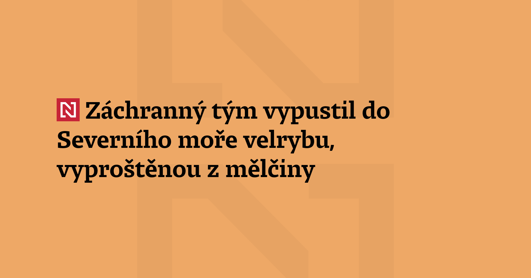 Velrybu vyproštěnou z mělčiny na severu Německa vypustil záchranný tým z nákladního...