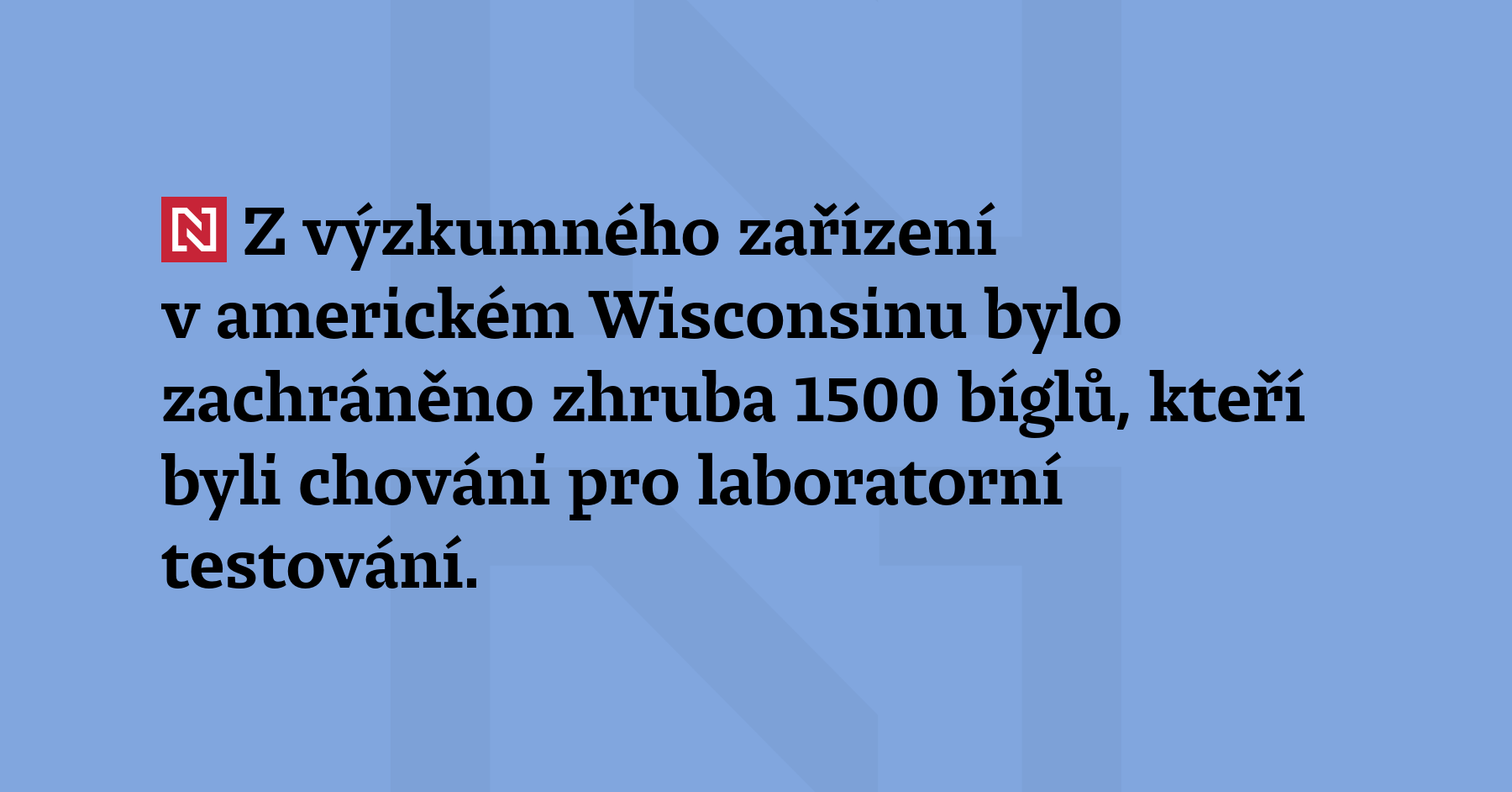 Z výzkumného zařízení v americkém Wisconsinu bylo zachráněno zhruba 1500 bíglů, kteří byli...