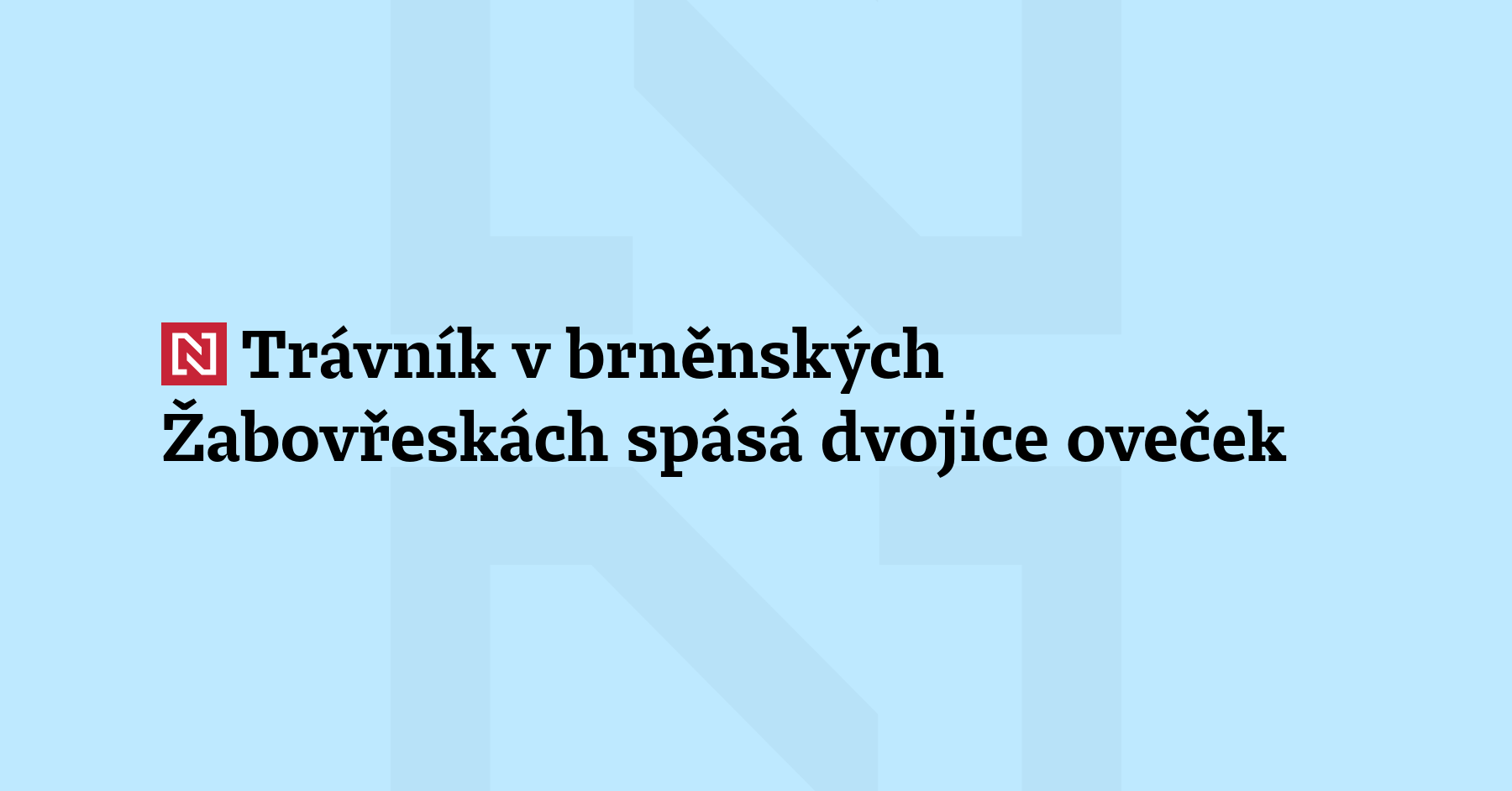 S úpravou trávníku v brněnské městské části Žabovřesky pomáhají ovce. Dvě ovečky...