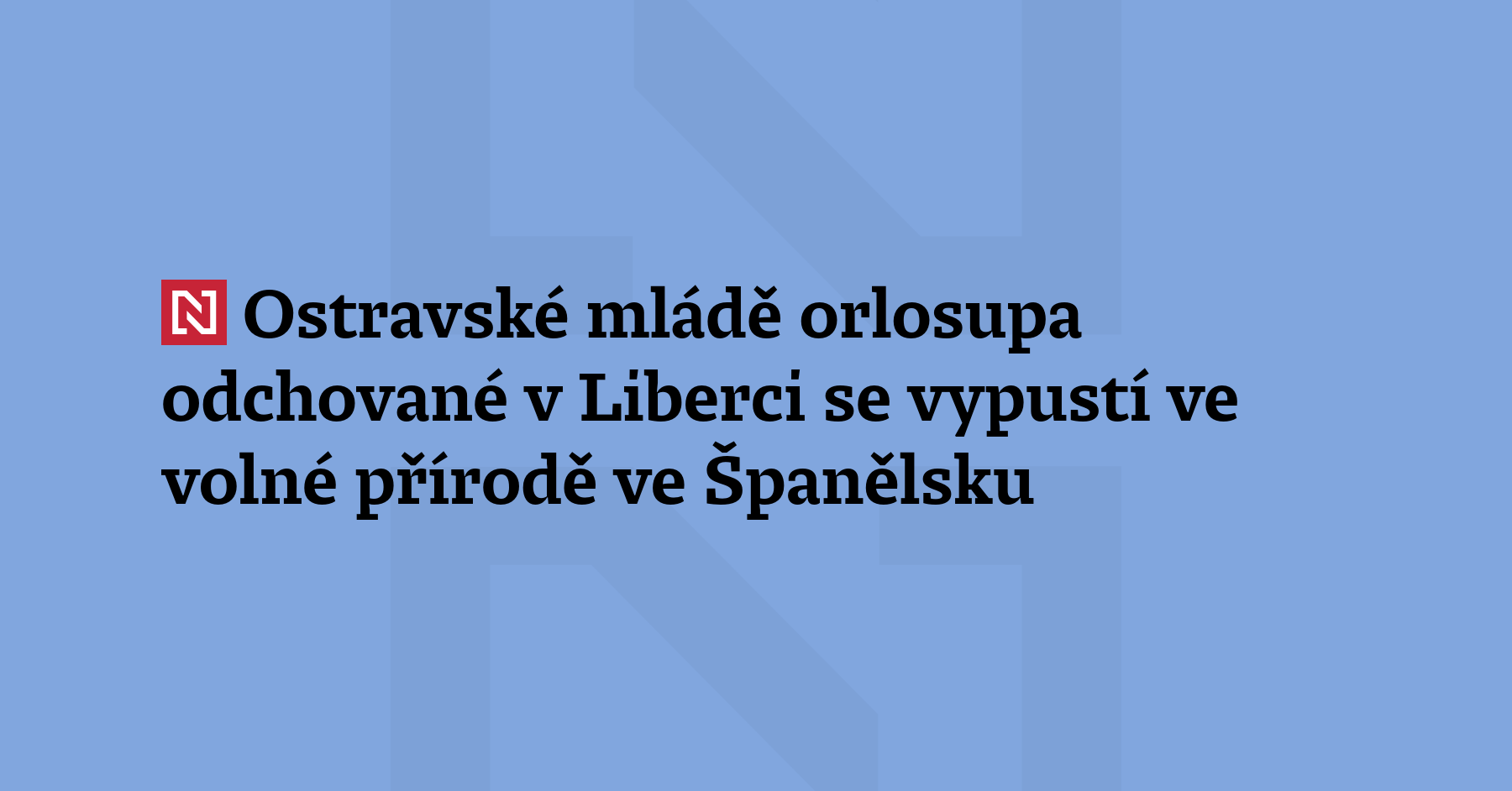 Do volné přírody ve Španělsku se dostane mládě ohroženého orlosupa...