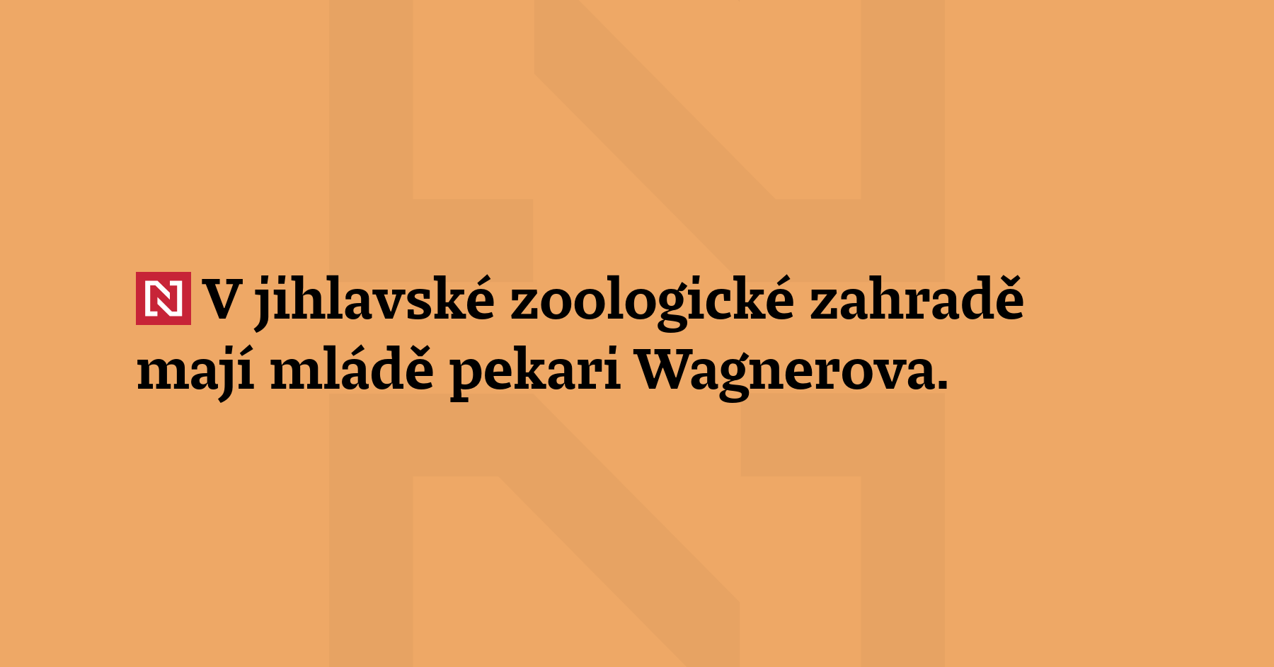 V jihlavské zoologické zahradě mají mládě pekari Wagnerova. 