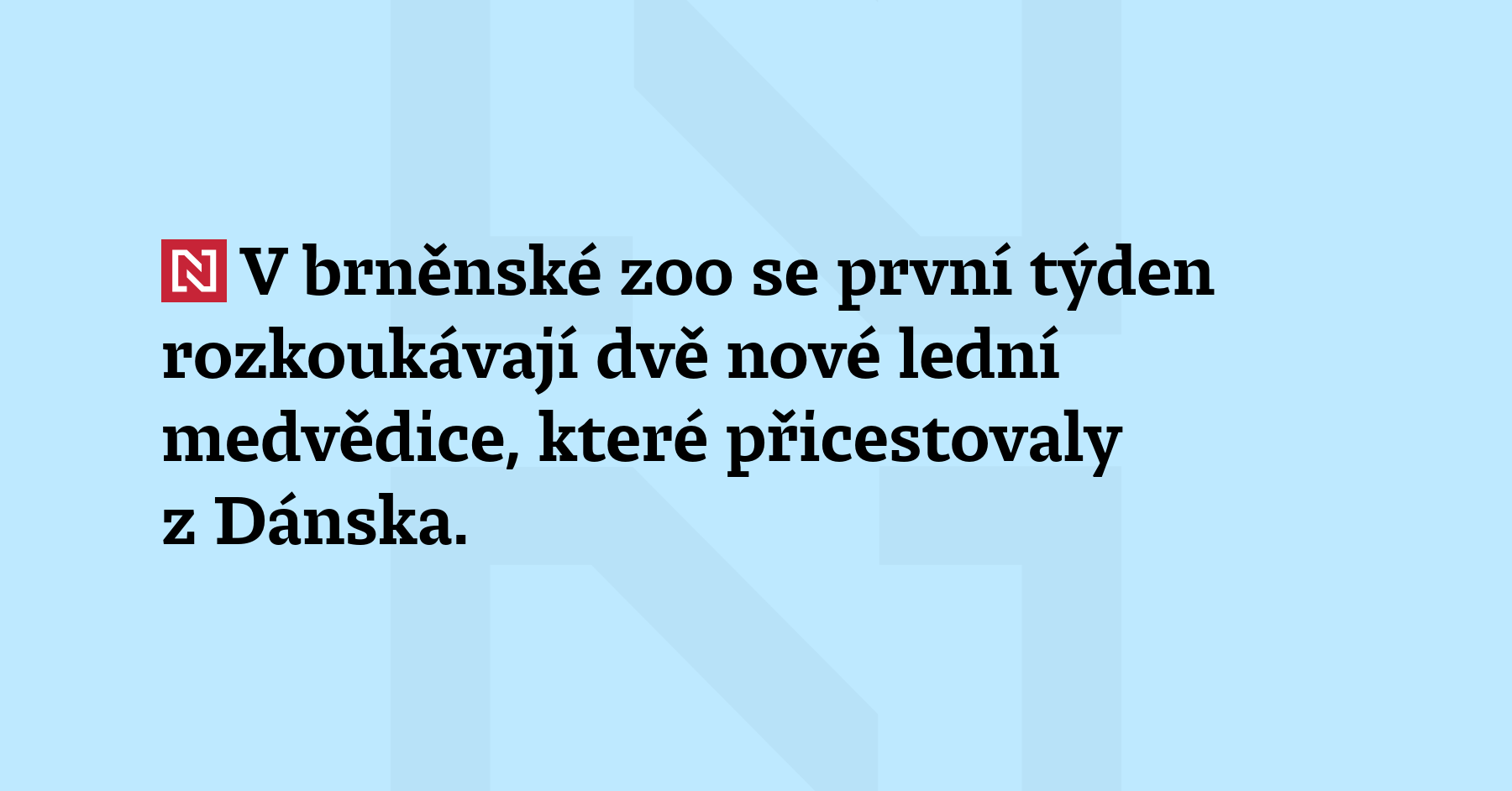 V brněnské zoo se první týden rozkoukávají dvě nov