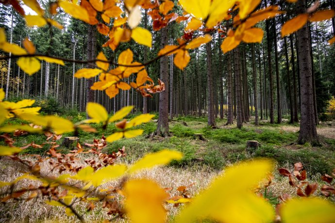 Zákaz pohybu a kontaktu s přírodou pokládá ekopsycholog Jan Krajhanzl za nejrizikovější variantu ze všech, které má vláda k dispozici. Foto: Gabriel Kuchta. Deník N