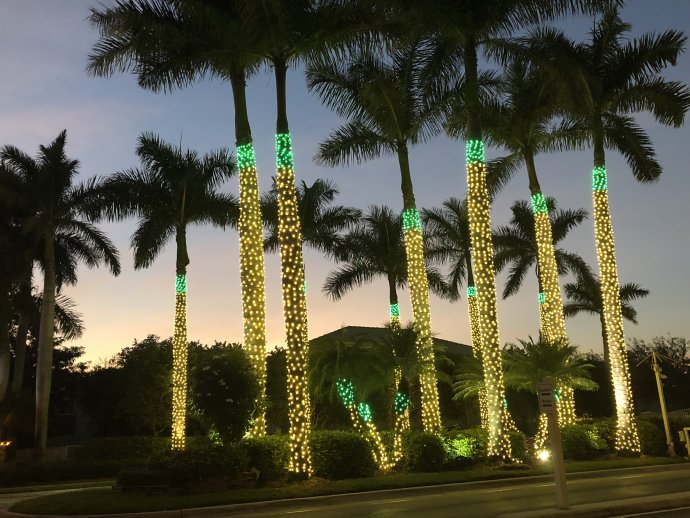 Američané se předhánějí ve vánočních dekoracích. Zdobí všechno - domy, předzahrádky, auta a na Floridě i palmy. Foto: Jana Ciglerová, Deník N
