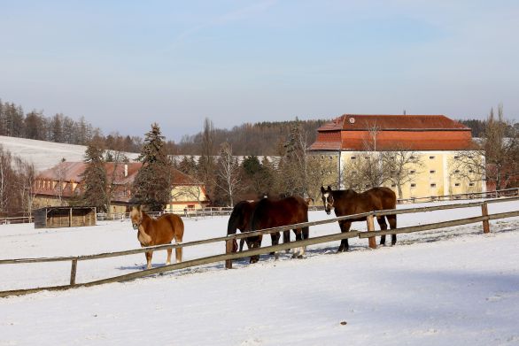 Rozsáhlé pozemky, chov koní a historický zemědělský dvůr zrekonstruovaný na wellness hotel nedaleko od Prahy. Majitel? Firma ovládaná soudním exekutorem. Foto: Ludvík Hradilek, Deník N