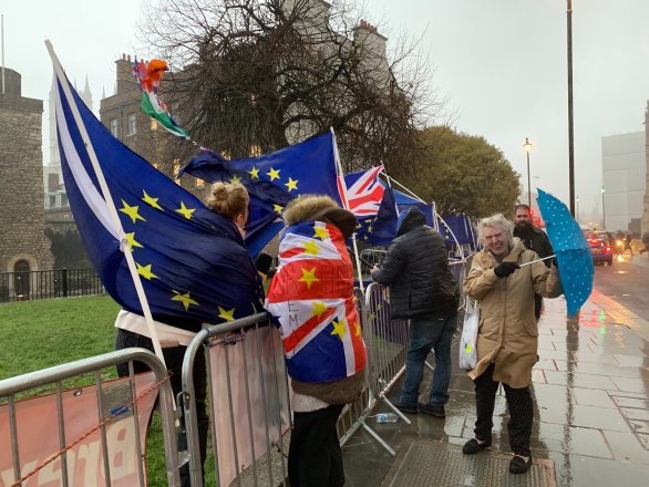 Demonstranti před Westminsterem v Londýně. Foto: John Cameron, Unsplash