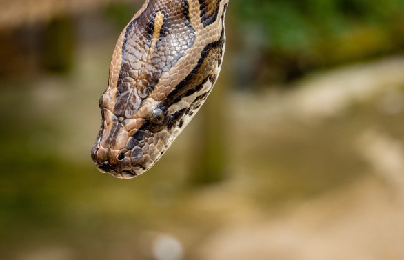 Hybridní válka je vážnou hrozbou a nic na tom nezmění ani to, že ji budeme nazývat nějak jinak. Foto: Tomáš Malík, Unsplash