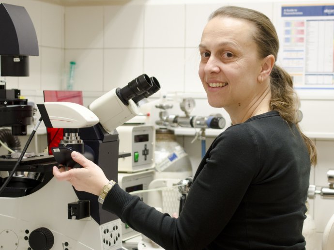 Mária Hovořáková působí v Ústavu experimentální medicíny Akademie věd, kde zkoumá hlavně záhady vývoje chrupu. Foto: IEM CAS
