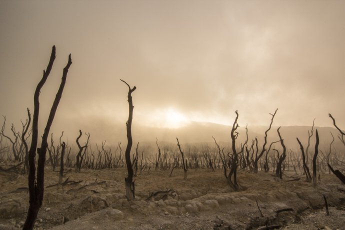 Jedním z nejničivějších důsledků změny klimatu je sucho. Akutně hrozí i u nás. Foto: Dikaseva, Unsplash
