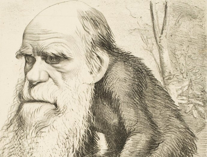 Darwin jako opice. Zdroj: Dobová karikatura