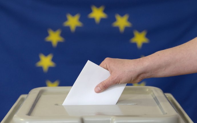 Volby do Evropského parlamentu. Foto: ČTK