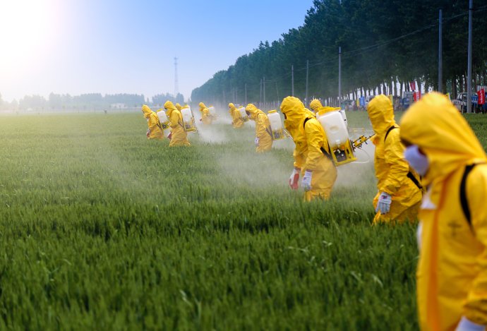 Farmáři v ochranných oděvech postřikují pole pesticidy. Průmyslové zemědělství v plné kráse. Foto: Jinning Li, Shutterstock.com