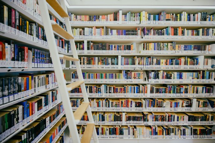 Kanadské školní knihovny jsou skvěle vybaveny množstvím výborných knih. Foto: Unsplash