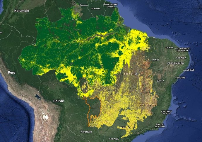 Míra odlesňování podle projektu TerraBrasilis brazilského Národního institutu pro kosmický výzkum INPE. Mapa: terrabrasilis.dpi.inpe.br