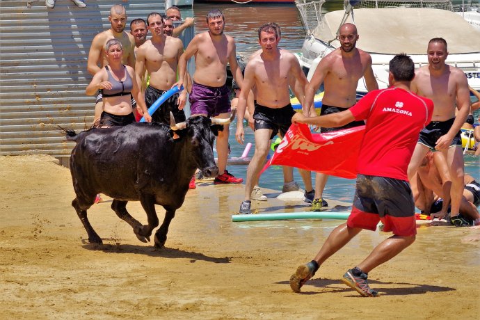 Španělé a jejich vztah k býkům, býci a jejich vztah ke Španělům. Foto: Marta Rákosová