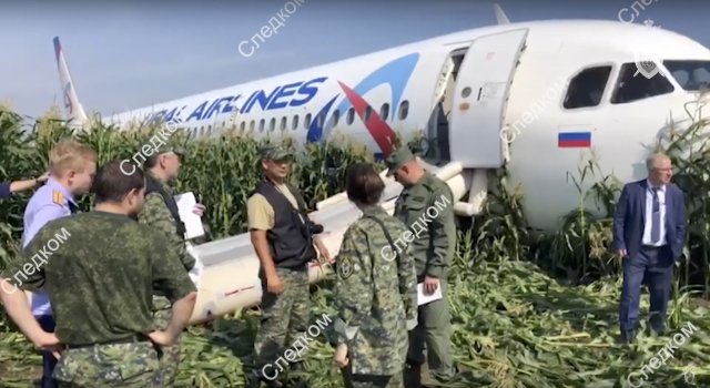 Airbus společnosti Uralské aerolinky v kukuřičném poli po startu z moskevského letiště 15. 8. 2019. Foto: vyšetřovací výbor, ČTK