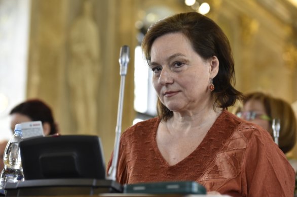 Bývalá zastupitelka Karla Hofmannová. Foto: ČTK