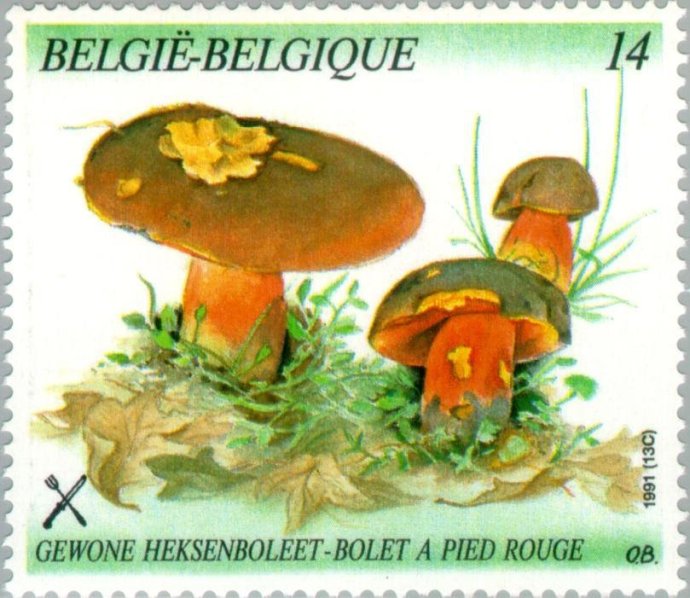 Belgičané mají tradiční houby rádi, ale spíš na známkách než na talíři. Foto: colnect.com