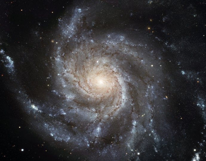 Spirální galaxie Větrník (Pinwheel) neboli M101 v souhvězdí Velké medvědice. I její ramena se otáčejí rychleji, než by mělo být možné. Foto: Hubble Space Telescope, NASA