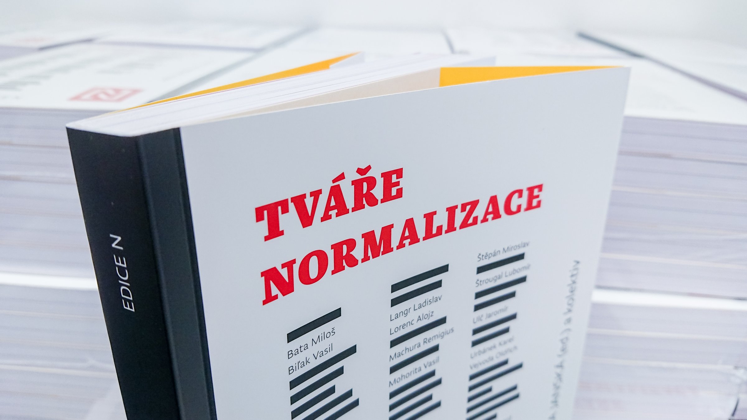 Tváře normalizace