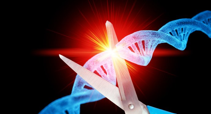 CRISPR/Cas9 umožňuje stříhat lepit molekuly DNA. Kdybychom detailně rozuměli jejich funkci, byl by to fantastický nástroj. Jenže zatím je na místě zdrženlivost. Foto: Adobe Stock