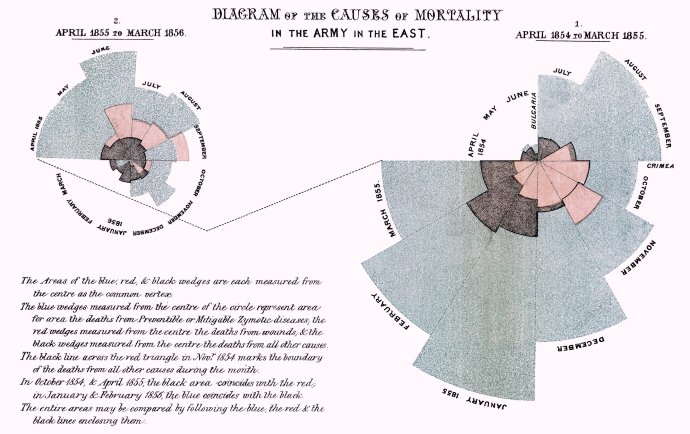 Diagram příčin úmrtí britských vojáků v krymské válce publikovala Florence Nightingalová v roce 1858 a zaslala jej mimo jiné královně Viktorii. Foto: public domain