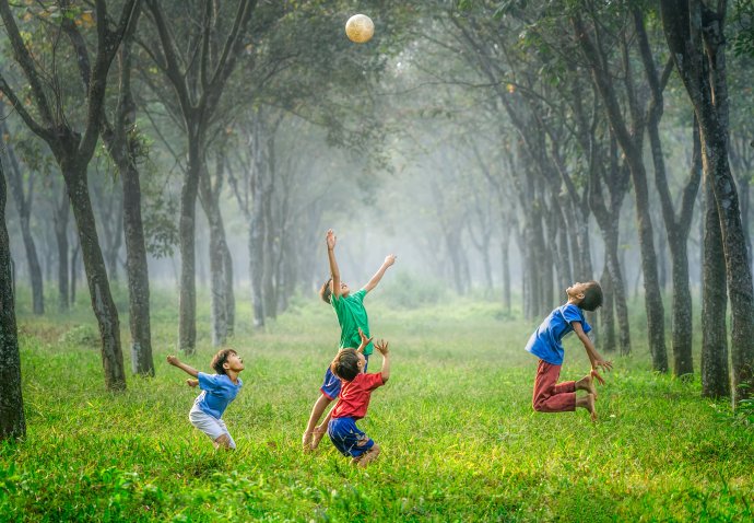 Ilustrační foto: Robert Collins, Unsplash