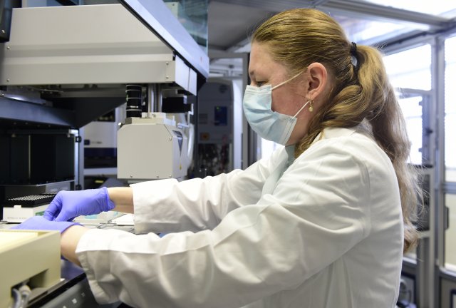 Vědci v Ústavu molekulární a translační medicíny při Lékařské fakultě Univerzity Palackého v Olomouci se 20. března 2020 připravovali na testování vzorků na nový typ koronaviru, které začalo v týdnu od 23. března 2020. K dispozici mají velkokapacitní zařízení na izolaci a genotypizaci nového koronaviru, kde mohou diagnostikovat denně kolem tisíce vzorků. Na snímku je Soňa Gurská z týmu Covid-19 při testování činnosti velkopipetovacího zařízení, které může naráz přepravit 384 vzorků do jamek, přičemž jedna jamka přísluší jednomu pacientovi. Foto: ČTK