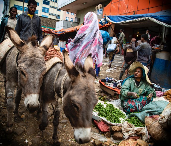 Trh v etiopské Addis Abebě. Foto: Erik Hathaway, Unsplash