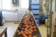Takový případ nikdo nepamatuje, říká hygiena k epidemii salmonelózy na pražské škole