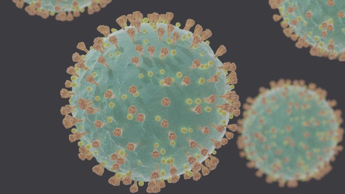 Nepřítel zblízka: virus SARS-CoV-2 pod elektronovým mikroskopem. Foto: Felipe Esquivel Reed, Wikimedia
