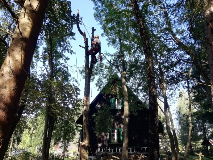 Opravdovým drvoštěpem nikdy nebudu, protože se bojím výšek. Navíc, dřevo sice krásně voní, ale práce je to náročná. Foto: Eliška Černá