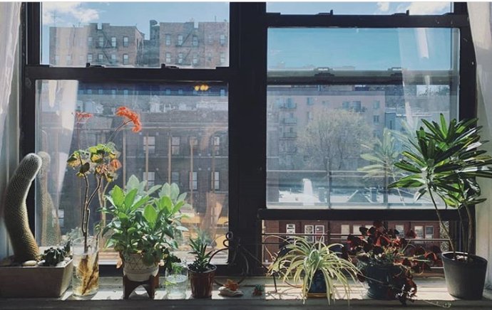 Program WindowSwap vznikl během pandemie, aby se lidé v izolaci podělili o své výhledy z okna. Autorkou tohoto záběru je Melissa z New Yorku. Bydlí v Bronxu a takhle to vypadá, když se dívá z okna. Foto: Instagram.com/WindowSwap