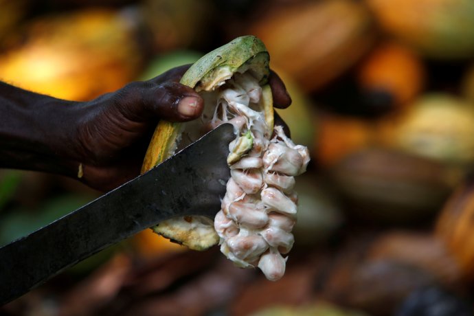 Sladké zisky zůstávají v zemích, které surové kakao rozemelou a vyrobí z něj tabulky čokolády nebo sypký prášek. Tak ať to Afričané dělají také tak, napadne leckoho. Ale to je hraběcí rada. Foto: Luc Gnago, Reuters