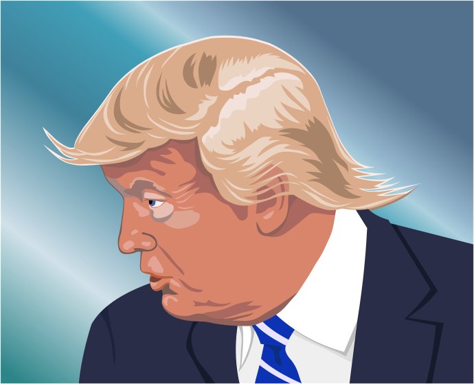 Donald Trump se snaží na poslední chvíli odvrátit výsledek voleb. Veřejně dosud nepřipustil, že prohrál. Karikatura: heblo, Pixabay
