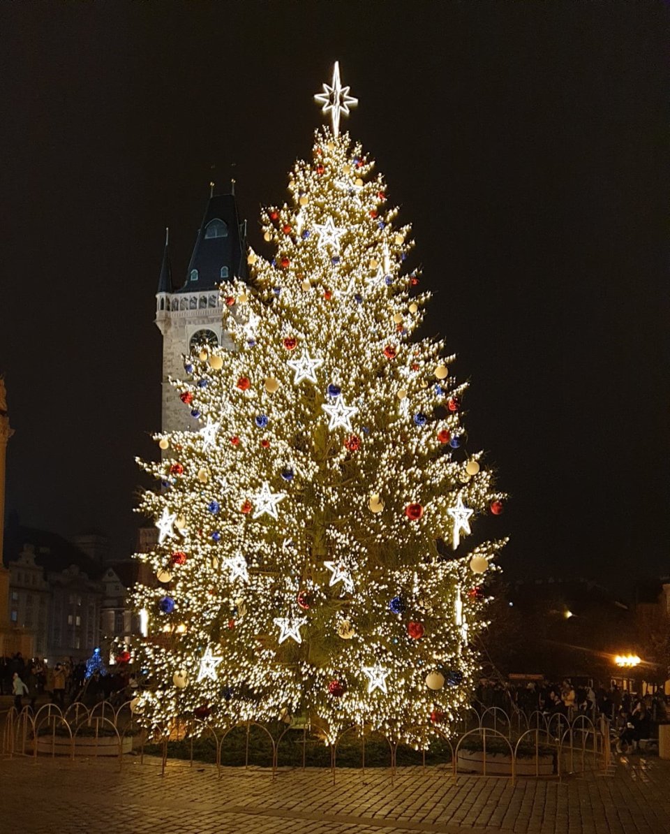 Vánoční strom na Staroměstském náměstí. Foto: Magistrát hl. m. Prahy
