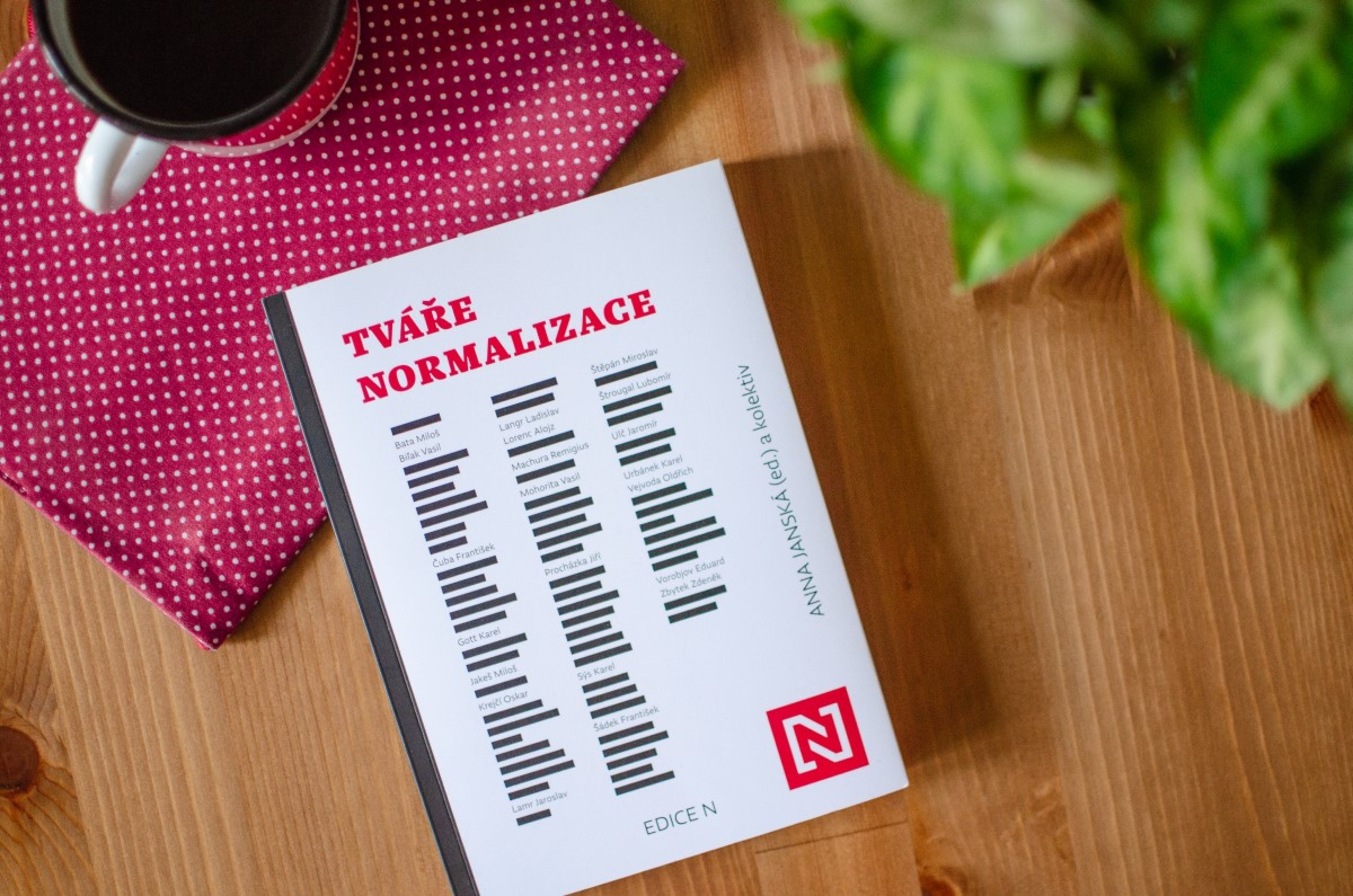 Tváře normalizace