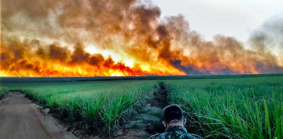 Požár jihoamerického mokřadu Pantanal zasahujícího do tří zemí. Toto místo je v brazilském státě Mato Grosso. Foto: Latin America News Agency / Reuters