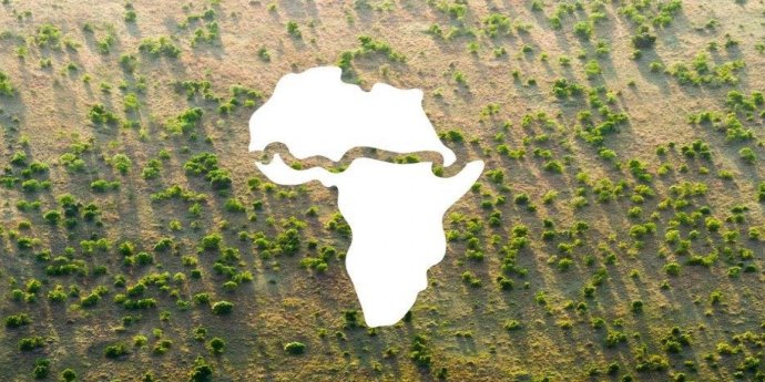 Pás na symbolické mapě Afriky k projektu Velké zelené zdi – (znovu)zalesnění oblastí pod Saharou s cílem zabránit rozšiřování pouště a zmenšování Sahelu a zemědělských ploch. Zdroj: Africká unie