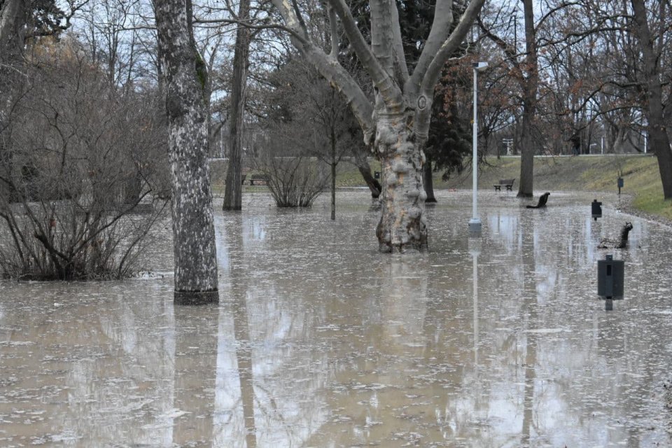 Voda se rozlila mezi stromy. Foto: Deník N