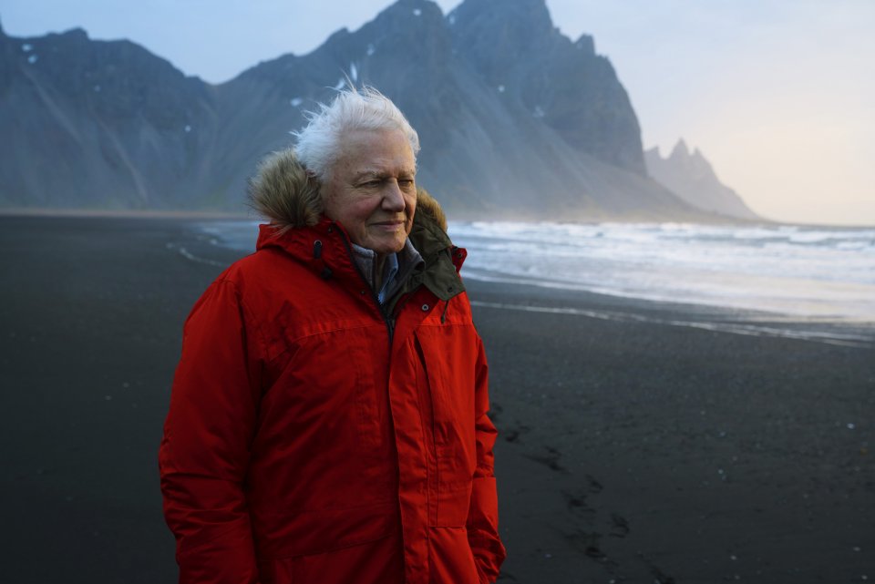 David Attenborough vydává knihu, v níž vzpomíná na své začátky. Foto: ČTK