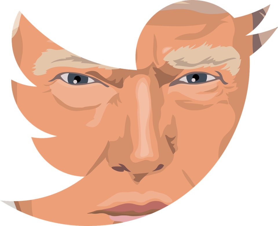 Donald Trump měl na Twitteru 89 milionů sledujících. O ty i o možnost veřejně se vyjadřovat na všeobecně sdílené sociální sítí po útoku na Kapitol přišel. Ilustrace: Pixabay