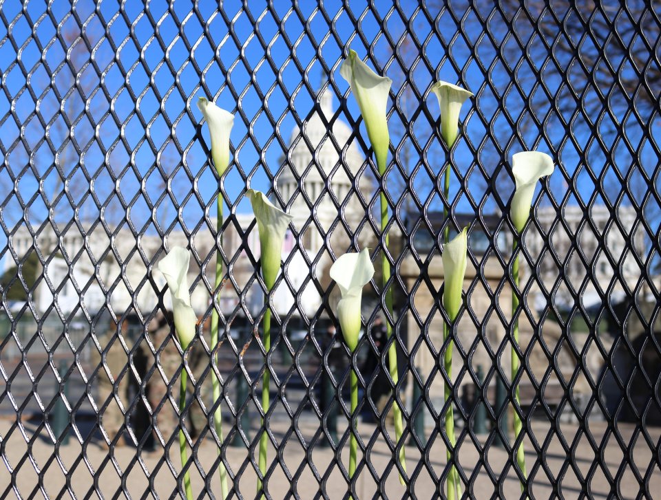 Lidé ve Washingtonu přinášeli zemřelému policistovi Brianu Sicknickovi v den, kdy jeho rakev byla vystavena v Rotundě Kapitolu, květiny k zátarasům. Ty oo útoku obklopují Kapitol. Foto: Elvert Barnes, Flickr