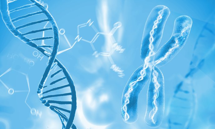 Lidský genom pořád ještě ukrývá spoustu záhad, přestože mu vědci rozumějí rok od roku lépe. Foto: Adobe Stock