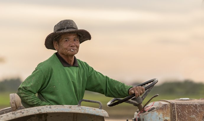 Farmář na traktoru: v KLDR nikoli samozřejmý výjev. Velké části tamních zemědělců stále nezbývá než spoléhat na sílu tažného dobytka. Foto: bannafarsai, Adobe Stock